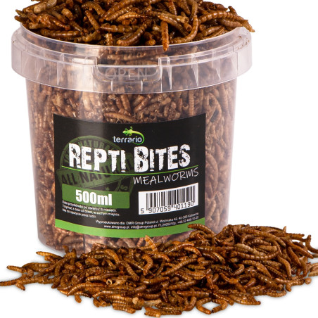 Terrario Repti Bites Mealworms 500ml - larwy mącznika suszone | Bogate w białko, idealne dla gadów