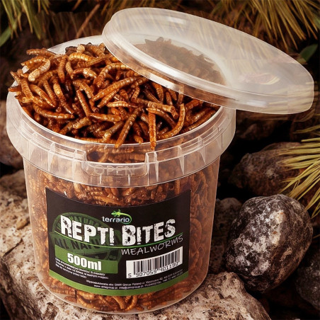 Terrario Repti Bites Mealworms 500ml - larwy mącznika suszone | Bogate w białko, idealne dla gadów