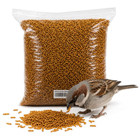 Suszone Larwy Mącznika 6300ml - zimowy pokarm dla ptaków dzikich 1kg