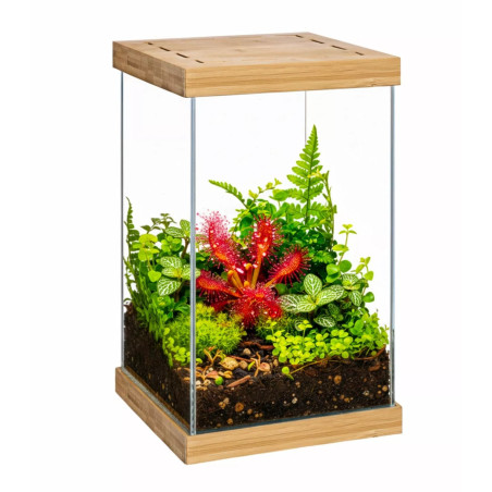 Aquael Selva Mini Terrarium - terrarium z oświetleniem 20x20x30cm