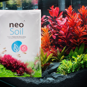 Neo Soil Plant No CO2 - podłoże do akwarium roślinnego 8l