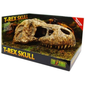 EXO TERRA T-Rex skull (czaszka dinozaura)