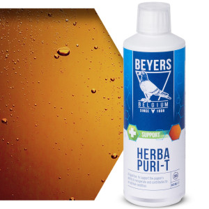 Beyers Herba Puri-T 400ml - regeneracja po chorobach i lotach