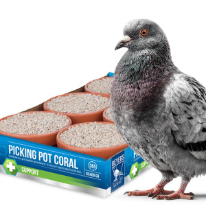 Beyers Picking Pot Coral 5+1 - kostki mineralne dla gołębi