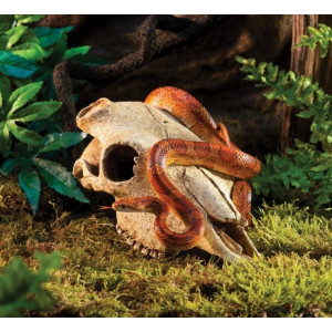 EXO TERRA Buffalo Skull (czaszka bawoła)