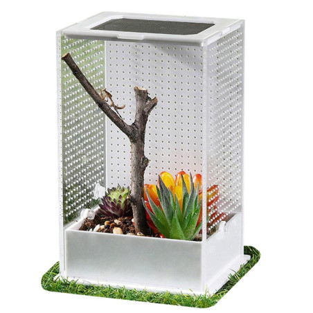 Repti-Zoo Mantis Box M - terrarium akrylowe dla modliszek