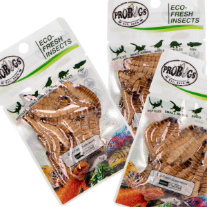 ProBugs Eco-Fresh Superworm 15 x 20g - świeże larwy drewnojada 15 saszetek