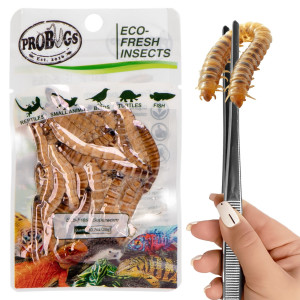 ProBugs Eco-Fresh Superworm 15 x 20g - świeże larwy drewnojada 15 saszetek