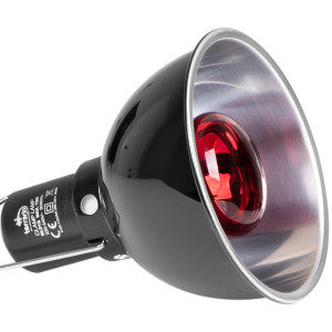 Terrario Biosphere Light - oprawka na żarówki grzewcze