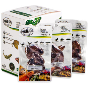 ProBugs Eco-Fresh Dubia Cockroach 15 x 5pcs - świeże karaczany argentyńskie 15 saszetek