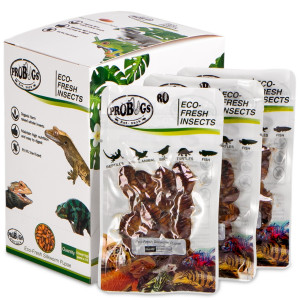 ProBugs Eco-Fresh Silkworm 15 x 15g - świeże larwy jedwabnika 15 saszetek