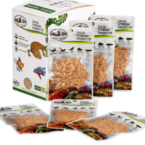 ProBugs Eco-Fresh Riceworm 15 x 15g - świeże larwy muchy 15 szaszetek