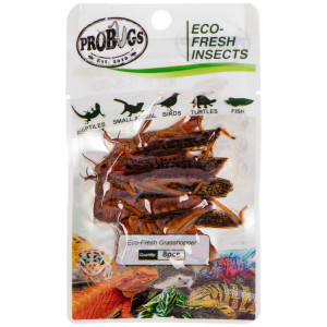 ProBugs Eco-Fresh Grasshopper 15 x 8pcs - świeże koniki polne 15 saszetek