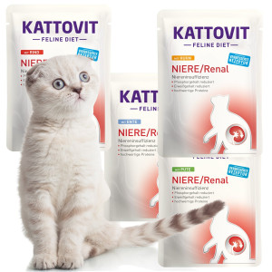 Kattovit Renal Multipack 12x85g - karma dla kotów chorych na nerki