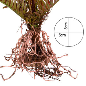 Terrario – Sztuczna roślina do terrarium - Paproć 40x14x41 cm