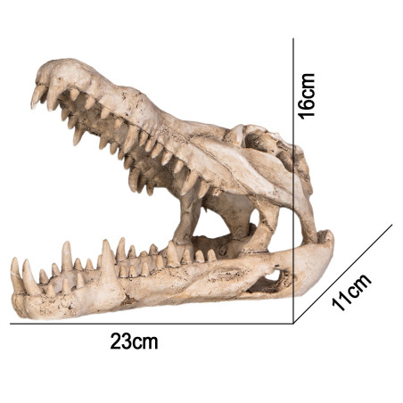 Terrario Crocodile Skull XL - czaszka krokodyla do terrarium 23x11x16 cm