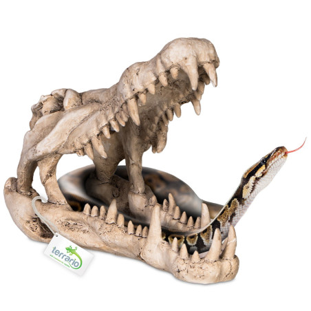 Terrario Crocodile Skull XL - czaszka krokodyla do terrarium 23x11x16 cm