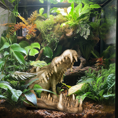 Terrario Crocodile Skull XL - czaszka krokodyla do terrarium 23x11x16 cm