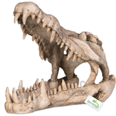 Terrario Crocodile Skull XL - czaszka krokodyla do terrarium 23x11x16 cm