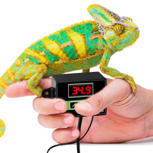 Terrario Morante - termostat terrarystyczny z sondą