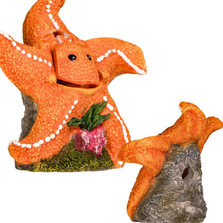 Kruger Meier Happy Starfish Set – Ozdoba z napowietrzaczem do akwarium