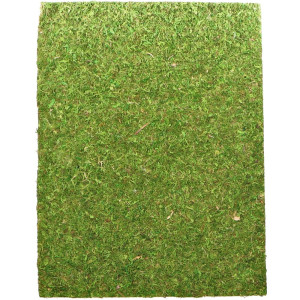 Repti-Zoo Natural Moss Back&Bottom - tło i podłoże z mchu 50x25cm