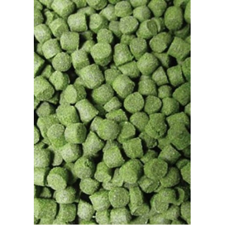 Ocean Nutrition Formula Two Pellets S 100g (drobny pokarm granulowany)