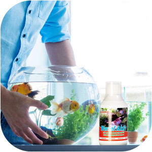 Femanga Wurzel Aktiv - preparat na ślimaki w akwarium 500ml