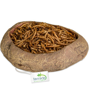 Terrario Rock Oasis L – Miska do Terrarium 17x15x4,5 cm