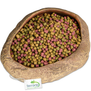 Terrario Rock Oasis L – Miska do Terrarium 17x15x4,5 cm