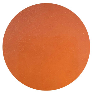 Aquaforest Liquid Rotifers 250ml - pokarm w płynie