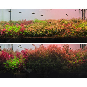 Neo Booster Plants FERTI 1000ml - nawóz dla roślin akwariowych dla początkujących