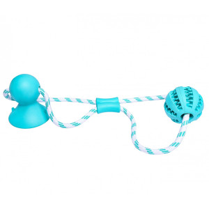 Pet Nova zabawka - piłka dental z przyssawką miętowa 7cm