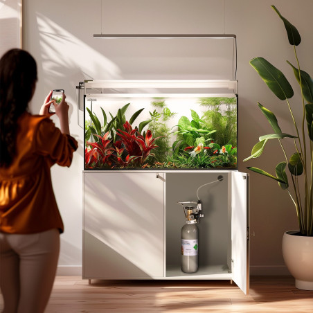 Aquario Professional 2.0 - zestaw CO2 z elektrozaworem + butla 2l