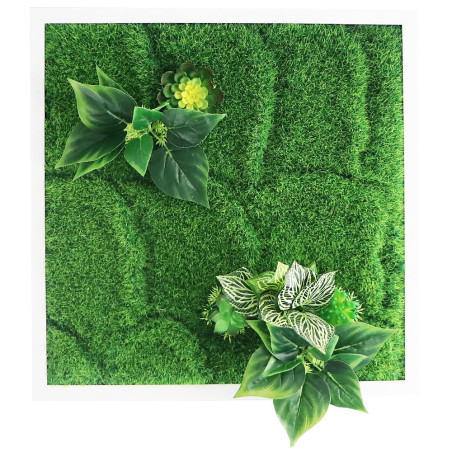 Garden Point - Bello Horizonte 50x50 - ogród ścienny 3D