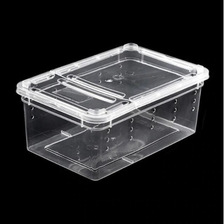 Terrario Terrarium Faunarium 33x22x15cm