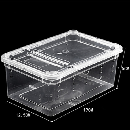 Terrario Terrarium Faunarium 33x22x15cm