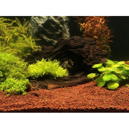 JBL Manado 3l