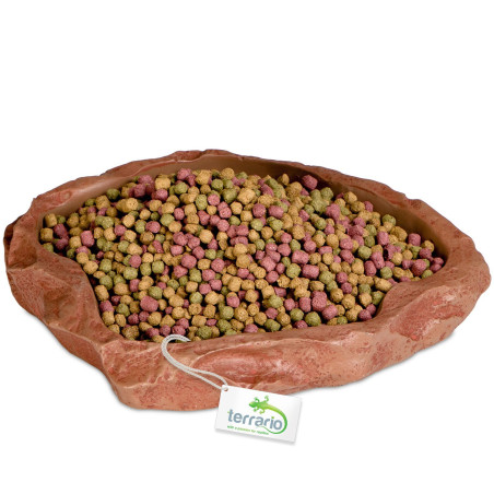 Terrario Natural Bowl – Miska do Terrarium 20x17x3 cm