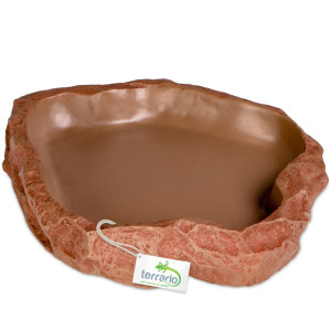 Terrario Natural Bowl – Miska do Terrarium 20x17x3 cm