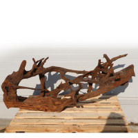 Naturalne ozdoby do Akwarium