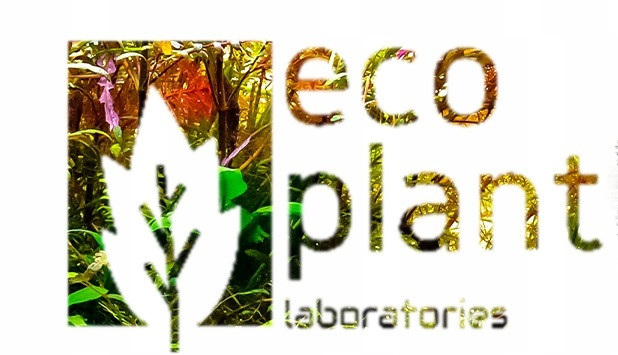 Eco Plant