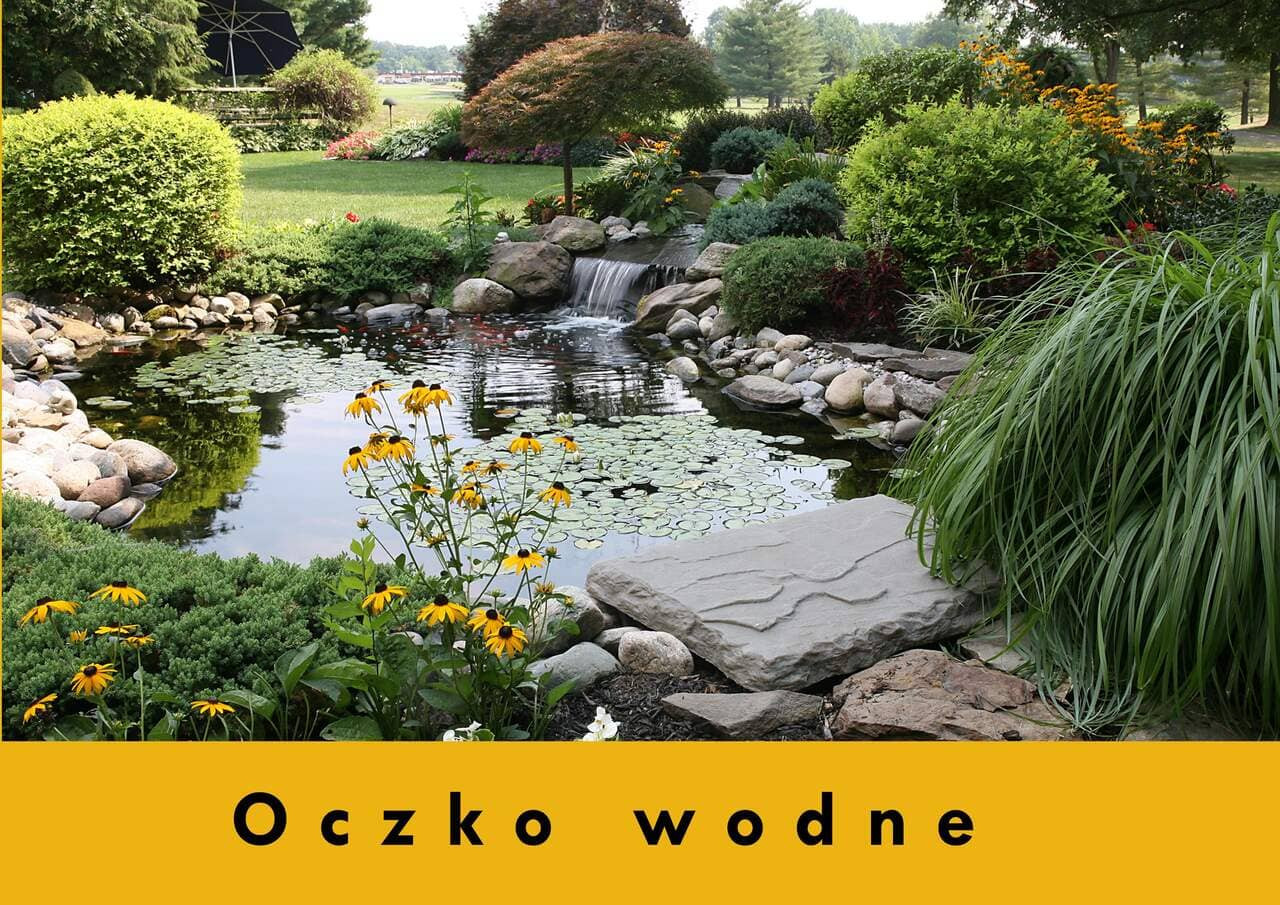 Oczko wodne