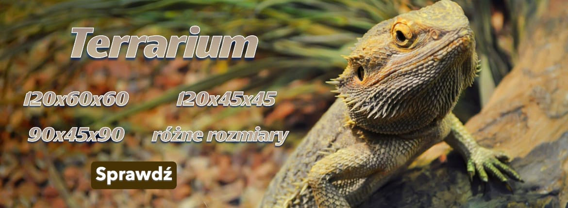 Terrarium- różne rozmiary